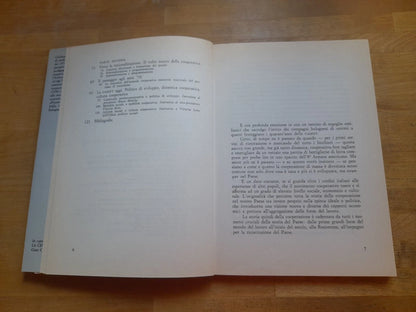 STORIA E CRONISTORIA DELLA CAMST. I SOCI RACCONTANO. GIULIANA RICCI GAROTTI. EDITORE MARSILIO. 1° EDIZIONE 1985. COLLANA: RICERCHE