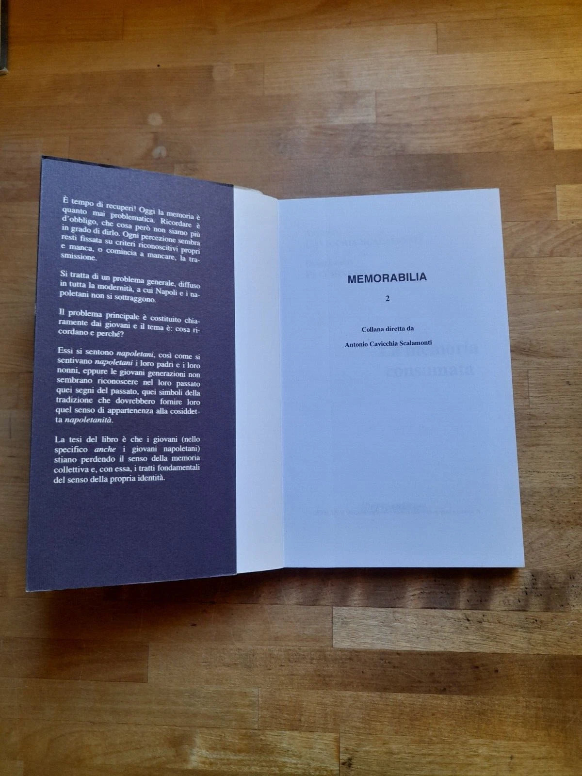 LA MEMORIA CONSUMATA. ANTONIO CAVICCHIA SCALAMONTI - GIANFRANCO PECCHINENDA. IPERMEDIUM EDITORE. 1° RISTAMPA 1997. COLLANA: MEMORABILIA 2.