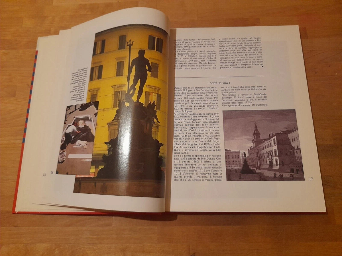 IL NETTUNO SI RACCONTA. FABIO E FILIPPO RAFFAELLI. GF GRAFICA EDITORIALE 1989.