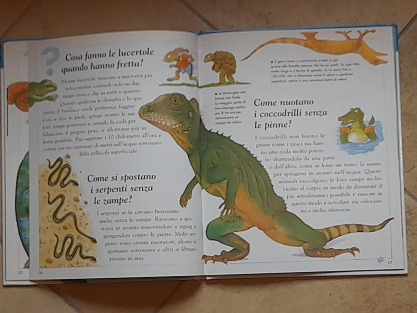 I RETTILI E I SERPENTI. COLLANA: PERCHE? DOMANDE E RISPOSTE SU. AMANDA O'NEILL. EDITORE VALLARDI. RISTAMPA 1999.