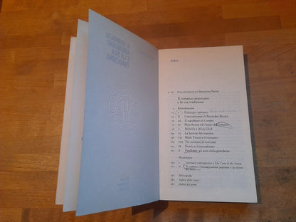 IL ROMANZO AMERICANO E LA SUA TRADIZIONE. RICHARD CHASE. EINAUDI EDITORE, 1974. COLLANA: PICCOLA BIBLIOTECA EINAUDI 233.