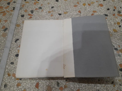 OSSERVAZIONI SULLA ILIADE DEL MONTI. ENNIO QUIRINO VISCONTI E ANDREA MUSTOXIDI. SANSONI EDITORE, 1961. COLLANA: LA NUOVA BIBLIOTECA DI LEONARDO. PREFAZIONE DI MANARA VALGIMIGLI.