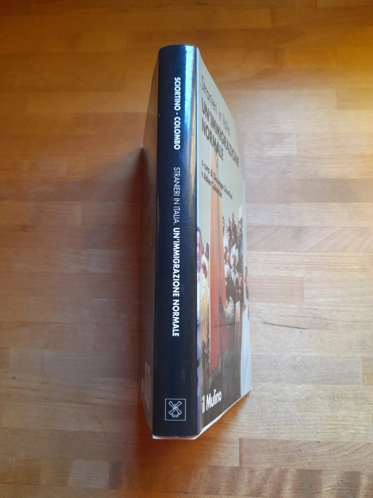 UN'IMMIGRAZIONE NORMALE. A CURA DI GIUSEPPE SCIORTINO E ASHER COLOMBO. IL MULINO EDITRICE 2003. COLLANA: STRANIERI IN ITALIA.