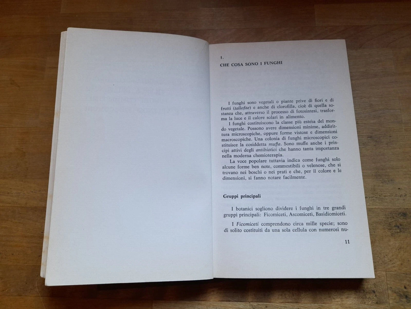 FUNGHI. MORFOLOGIA-RICERCA-RICETTE. NATALIA RIGER. EDIZIONI PAOLINE. 3° EDIZIONE 1977. COLLANA: I LIBRI DELLA FAMIGLIA, 2° SERIE, N.17.