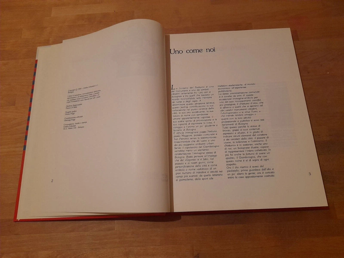 IL NETTUNO SI RACCONTA. FABIO E FILIPPO RAFFAELLI. GF GRAFICA EDITORIALE 1989.
