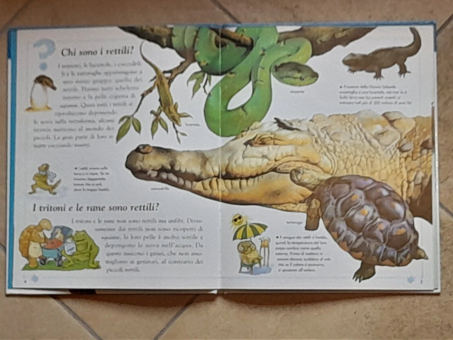 I RETTILI E I SERPENTI. COLLANA: PERCHE? DOMANDE E RISPOSTE SU. AMANDA O'NEILL. EDITORE VALLARDI. RISTAMPA 1999.