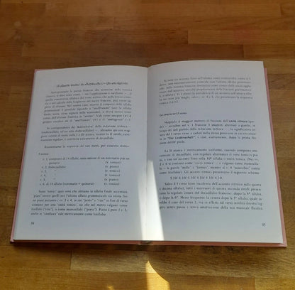 GOETHE. UNA REDAZIONE PARALLELA FINORA NON NOTA DELL' ELEGIA "DIE LEIDENSCHAF..". AUTOGRAFI. ALESSANDRA BARBANTI TIZZI. PONTE NUOVO EDITRICE - BOLOLOGNA. 1° EDIZIONE 1988.
