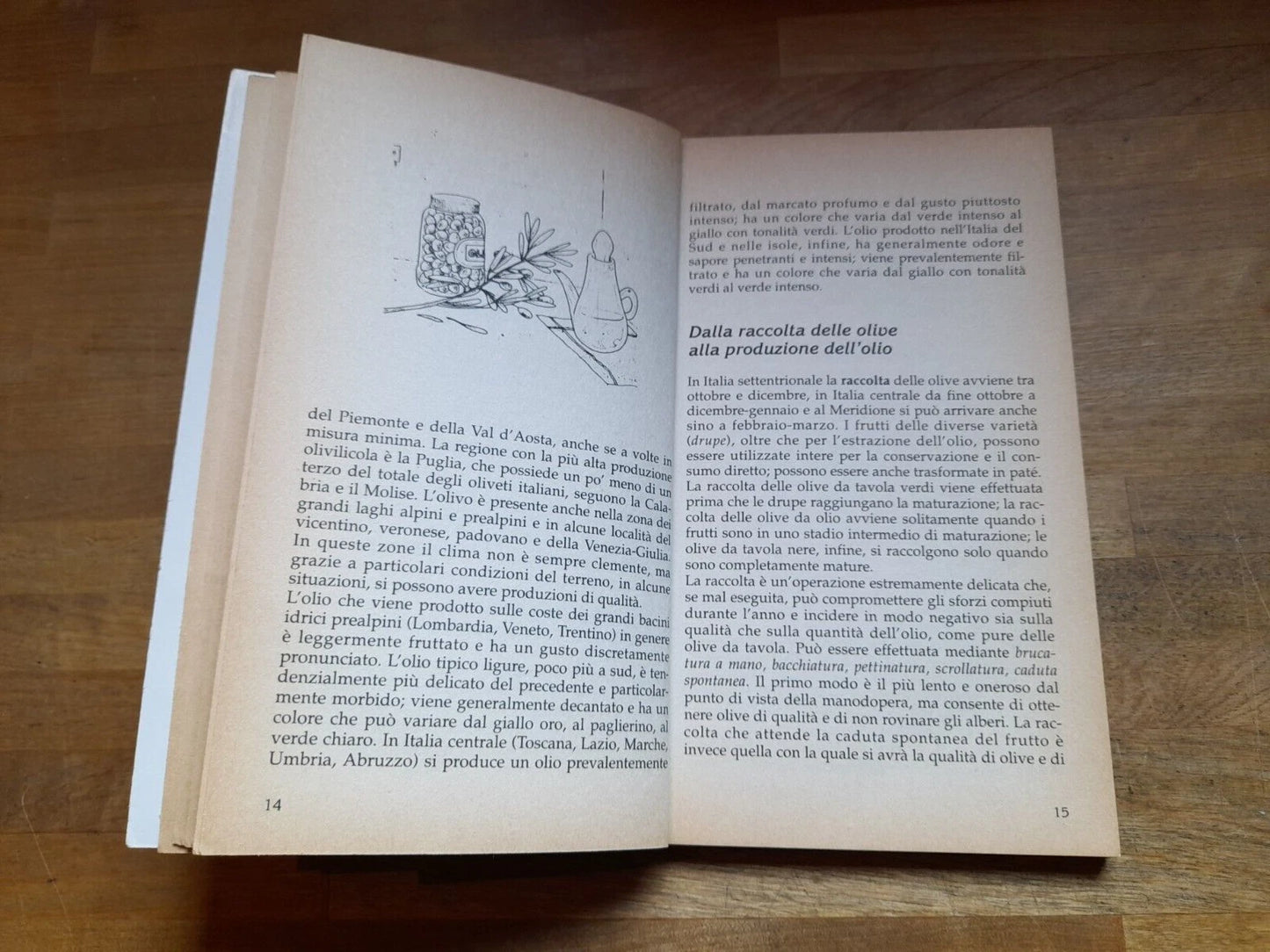 IL GRANDE LIBRO DELLE BRUSCHETTE. MARTA FISCHER. COLLANA: PRATICISSIMI IN CUCINA. DEMETRA EDITORE. 1° EDIZIONE 1993.