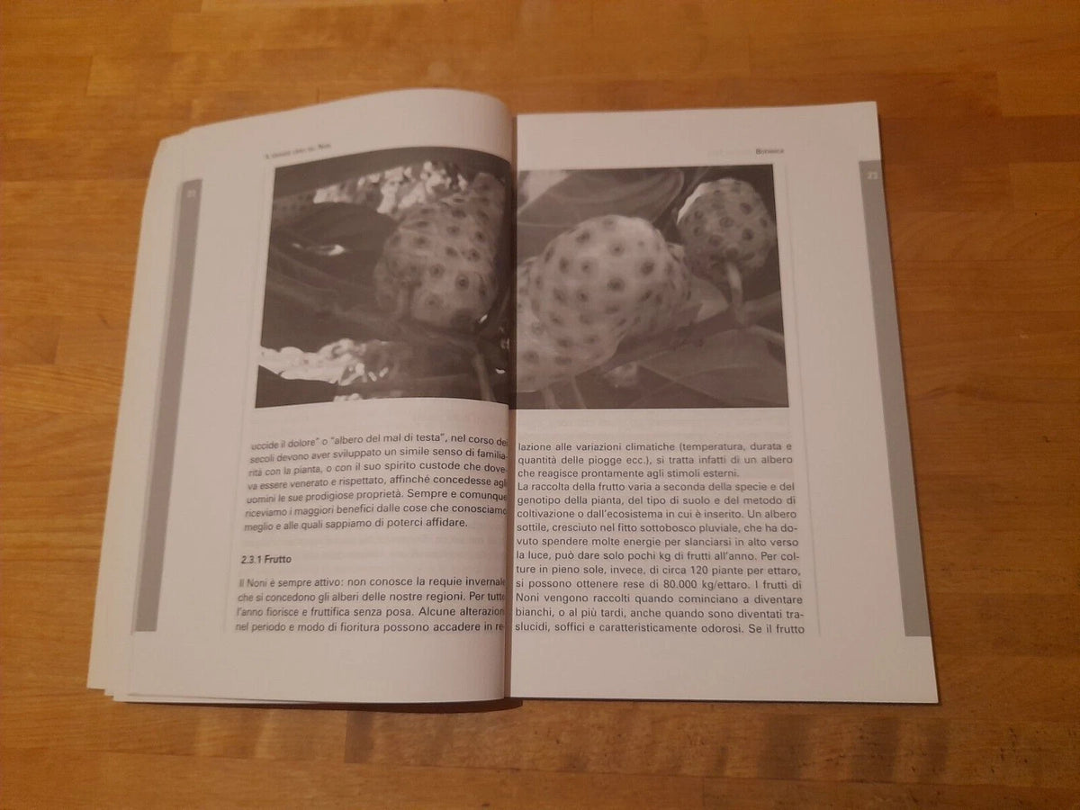 IL GRANDE LIBRO DEL NONI. STORIA, BOTANICA, IMPIEGHI, ANEDDOTI SU QUESTO FRUTTO STRAORDINARIO. LORENZO POSTAL - PIETRO ROSSINI E JENNIFER SMITH. ZUCCARI EDIZIONI. 1° EDIZIONE 2009. COLLANA: THE HEALTH HANDBOOKS.