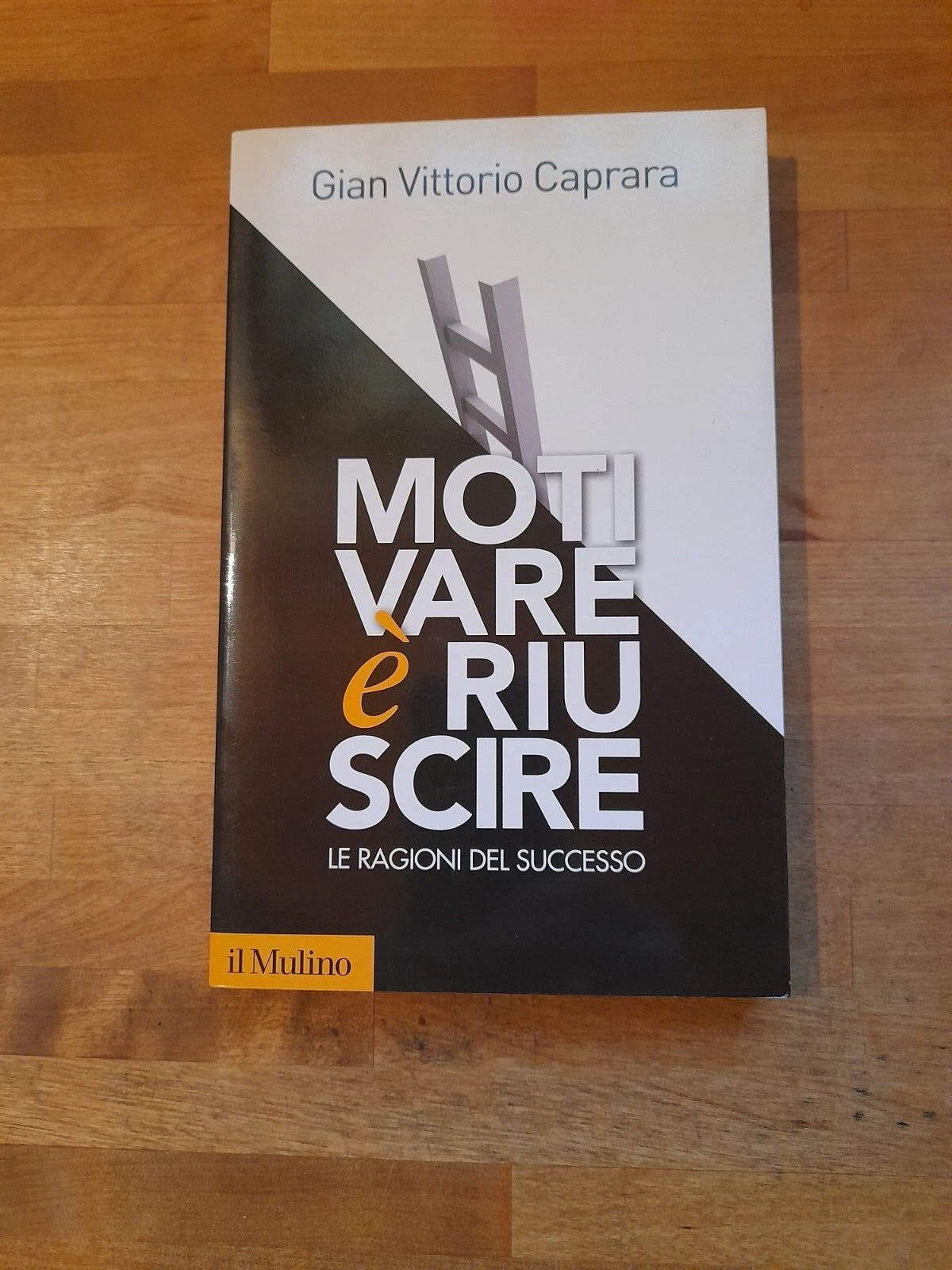 MOTIVARE E' RIUSCIRE. LE RAGIONI DEL SUCCESSO. GIAN VITTORIO CAPRARA. SOCIETA' EDITRICE IL MULINO. 1° EDIZIONE 2013. COLLANA: CONTEMPORANEA / DUECENTOVENTISEI.