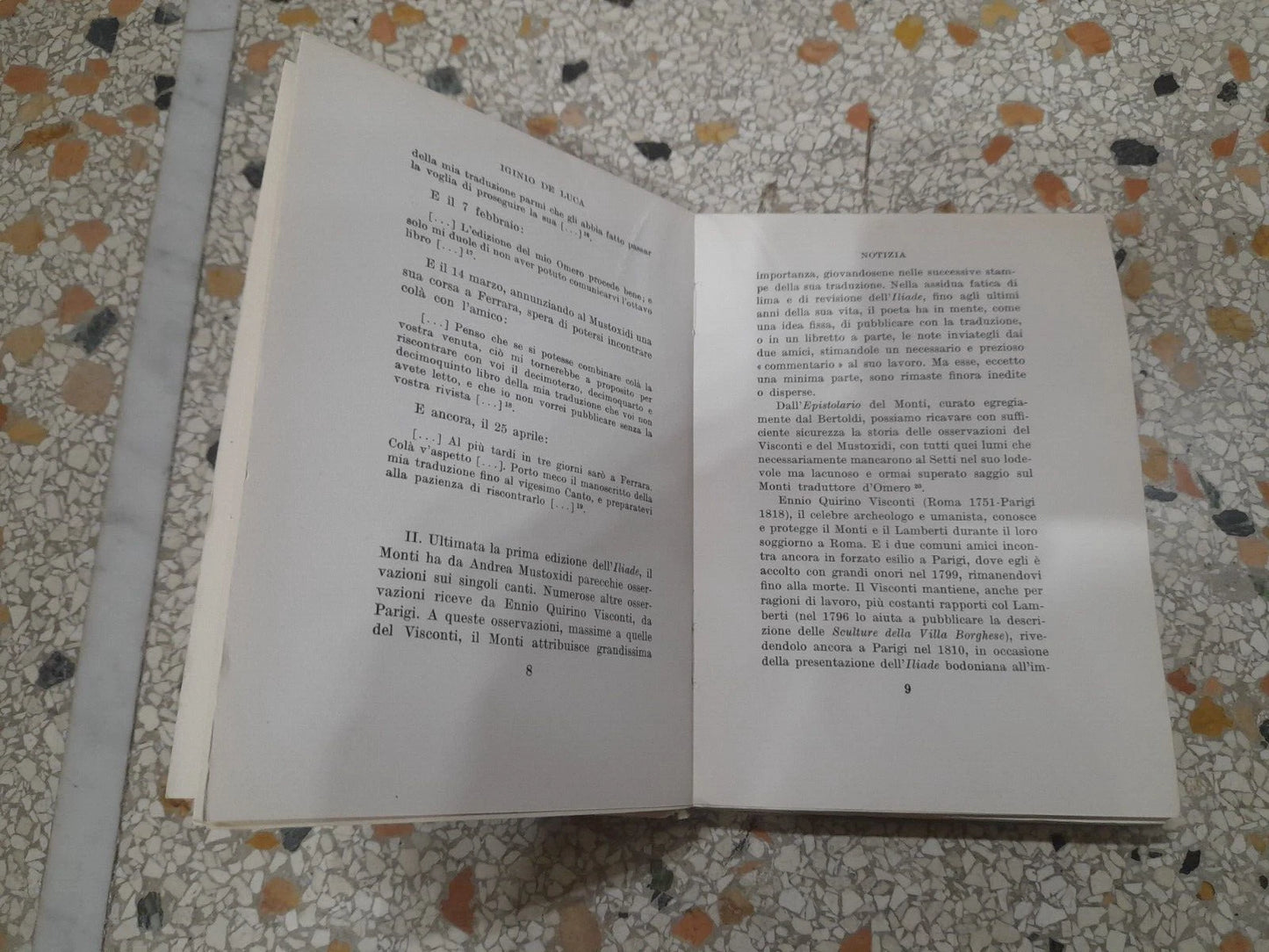 OSSERVAZIONI SULLA ILIADE DEL MONTI. ENNIO QUIRINO VISCONTI E ANDREA MUSTOXIDI. SANSONI EDITORE, 1961. COLLANA: LA NUOVA BIBLIOTECA DI LEONARDO. PREFAZIONE DI MANARA VALGIMIGLI.