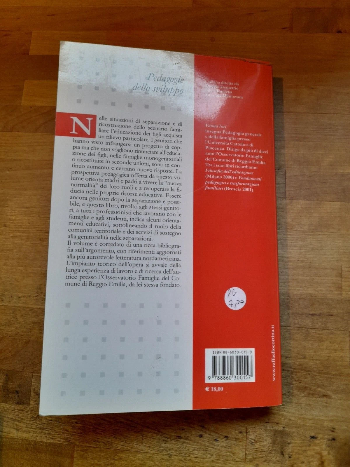 SEPARAZIONI E NUOVE FAMIGLIE. L'EDUCAZIONE DEI FIGLI. VANNA IORI. RAFFAELLO CORTINA EDITORE. 1° EDIZIONE 2006. COLLANA: PEDAGOGIE DELLO SVILUPPO.