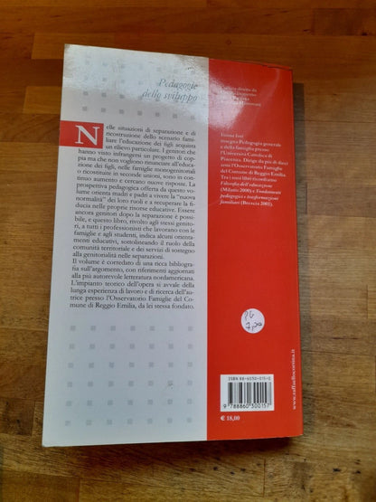 SEPARAZIONI E NUOVE FAMIGLIE. L'EDUCAZIONE DEI FIGLI. VANNA IORI. RAFFAELLO CORTINA EDITORE. 1° EDIZIONE 2006. COLLANA: PEDAGOGIE DELLO SVILUPPO.