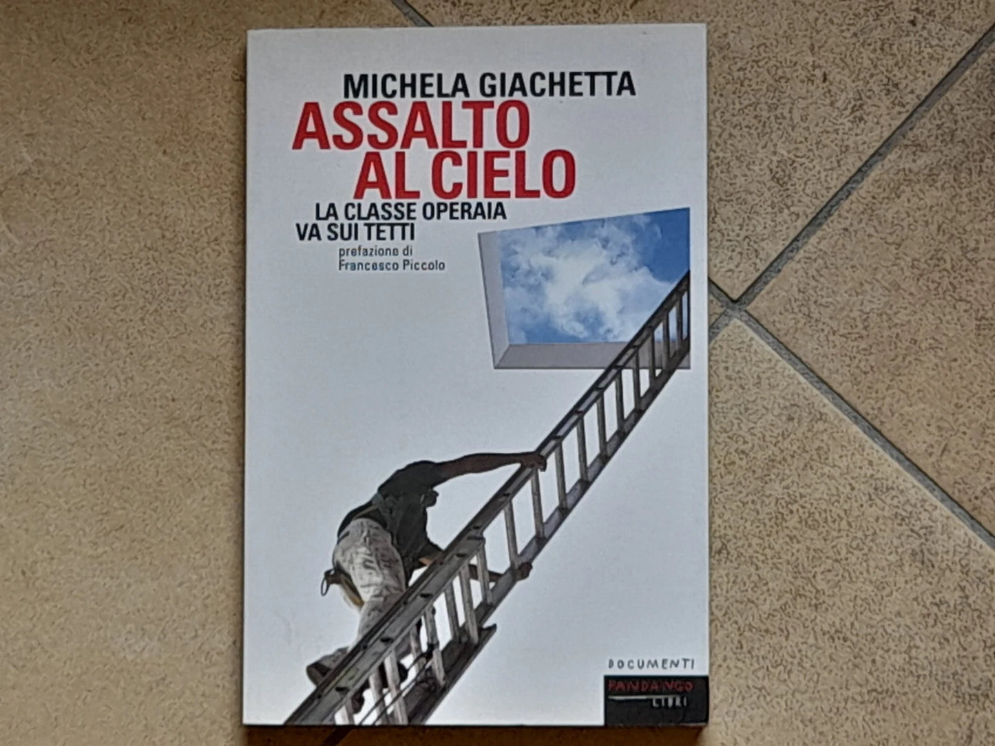 ASSALTO AL CIELO. LA CLASSE OPERAIA VA SUI TETTI. MICHELA GIACCHETTA. EDIZIONI FANDANGO LIBRI. COLLANA: DOCUMENTI 46. RISTAMPA 2012.