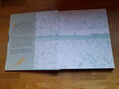 DAL RISO AI RISOTTI. CULTURA E CREATIVITA' DEL MADE IN ITALY. DAVIDE PAOLINI - MICHELA VUGA. RISTAMPA 2000. MONDADORI EDITORE.