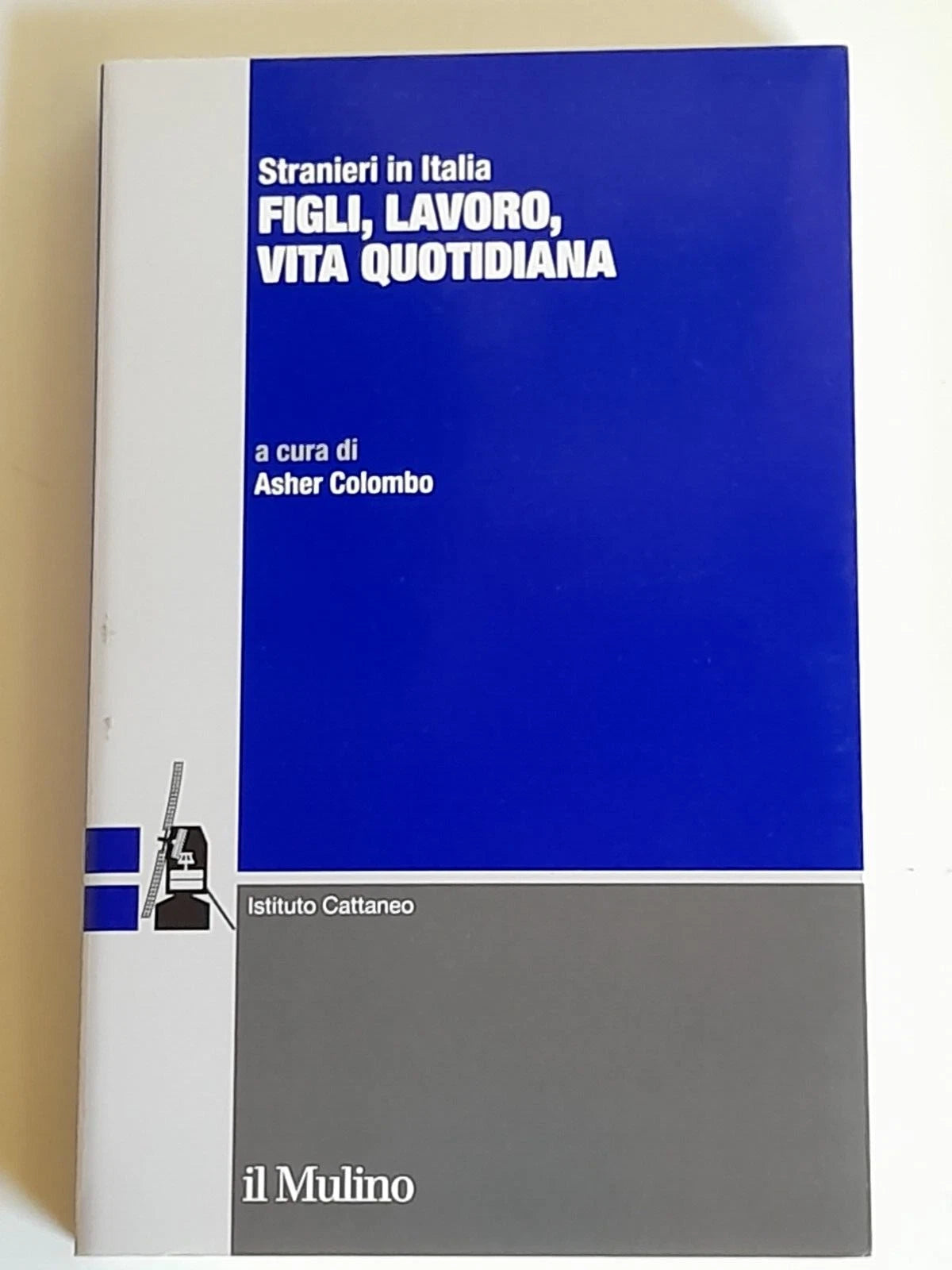 FIGLI, LAVORO, VITA QUOTIDIANA. ASHER COLOMBO. SOCIETA' EDITRICE IL MULINO. COLLANA: RICERCHE E STUDI DELL'ISTITUTO CARLO CATTANEO - STRANIERI IN ITALIA. 1° EDIZIONE 2013.