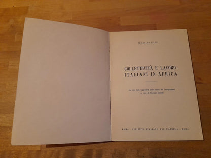 COLLETTIVITA' E LAVORO ITALIANI IN AFRICA. TEOBALDO FILESI. ISTITUTO ITALIANO PER L'AFRICA. 1° EDIZIONE 1961.
