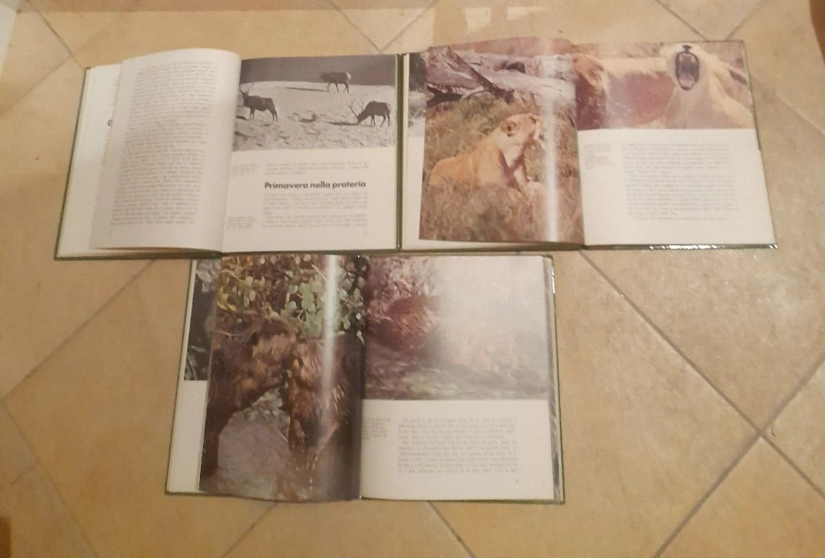 DISNEY NATURA. 5 VOLUMI. AA.VV. ARNOLDO MONDADORI EDITORE. 1° EDIZIONE 1975.