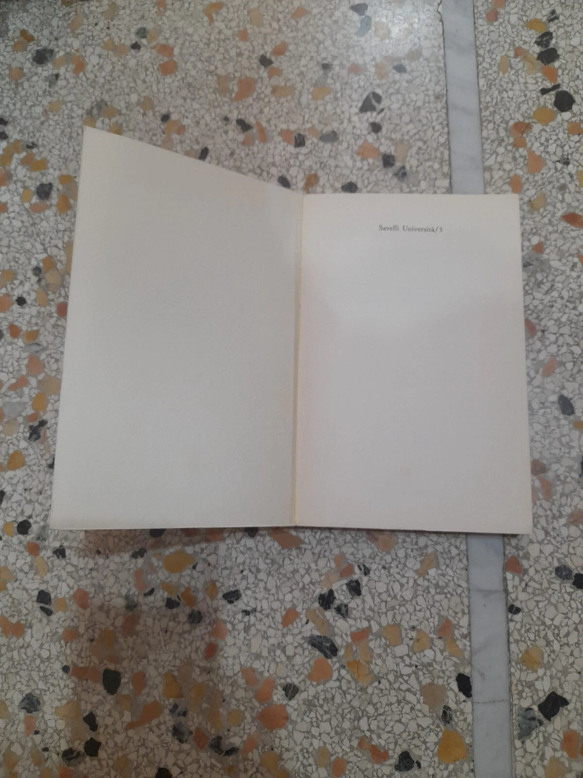 DAL SALOTTO AL PARTITO. LIA SECCI. SAVELLI EDITORI. COLLANA. UNIVERSITA'/3. RISTAMPA. 1982.