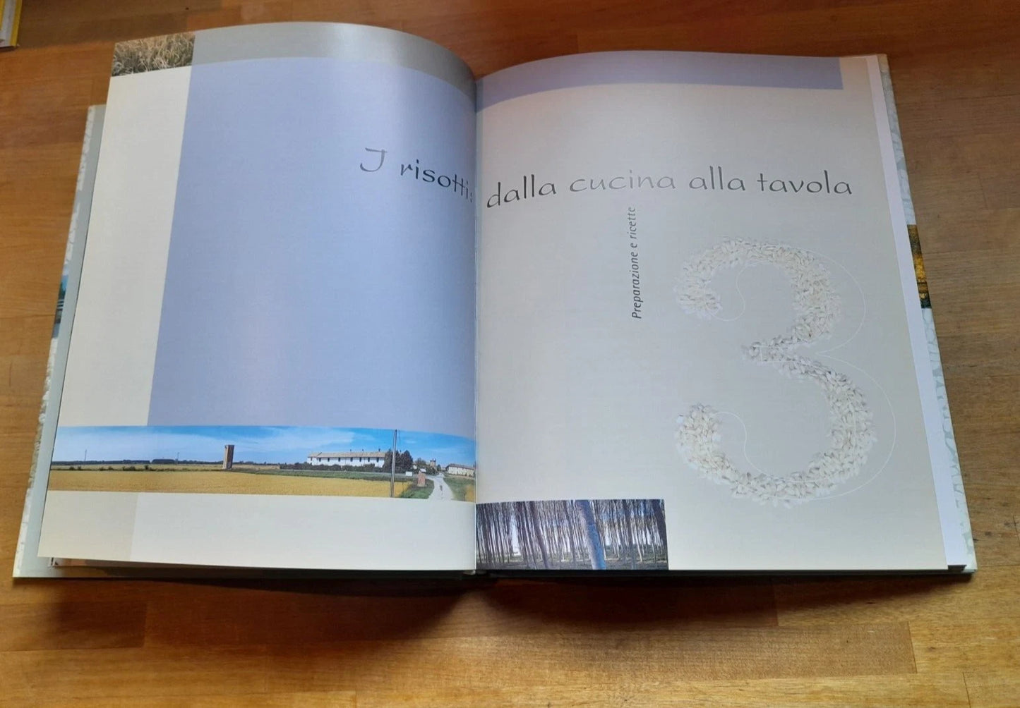 DAL RISO AI RISOTTI. CULTURA E CREATIVITA' DEL MADE IN ITALY. DAVIDE PAOLINI - MICHELA VUGA. RISTAMPA 2000. MONDADORI EDITORE.