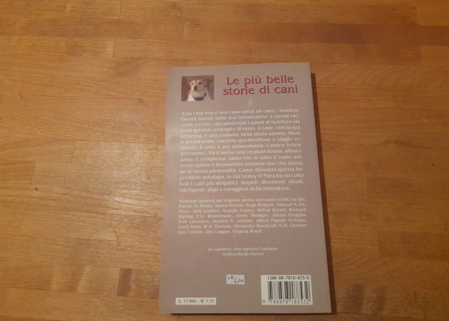 LE PIU' BELLE STORIE DI CANI. LESLEY O'MARA. TEA EDITORE. COLLANA: TEA DUE 846. 1° EDIZIONE, 2000.