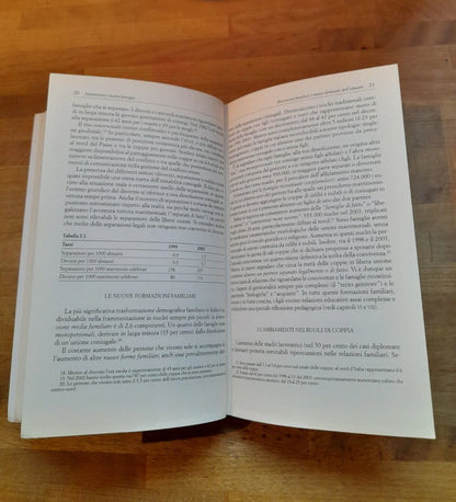 SEPARAZIONI E NUOVE FAMIGLIE. L'EDUCAZIONE DEI FIGLI. VANNA IORI. RAFFAELLO CORTINA EDITORE. 1° EDIZIONE 2006. COLLANA: PEDAGOGIE DELLO SVILUPPO.