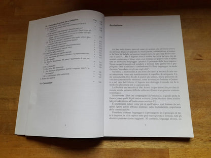 CAPIRSI, ASCOLTARE, PARLARE. UN NUOVO APPROCCIO ALLA COMUNICAZIONE IN AZIENDA. PIETRO MORONI. FRANCOANGELI EDITORE. 1° EDIZIONE 2005, 2° RISTAMPA 2010. COLLANA. F.P. FORMAZIONE PERMANENTE, PROBLEMI D'OGGI 561.300.