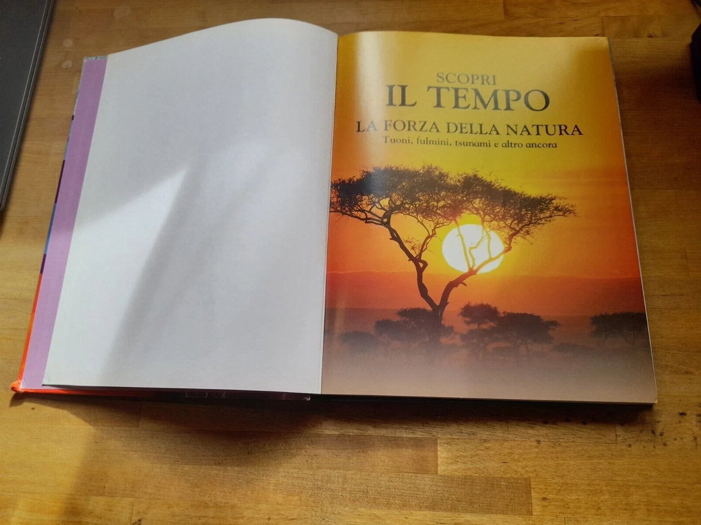 SCOPRI IL TEMPO LA FORZA DELLA NATURA. TUONI, FULMINI, TSUNAMI E ALTRO ANCORA. GRIBAUDO - PERRAGON BOOKS LTD PER L'EDIZIONE ITALIANA 2008.LOUISE SPILSBURY.