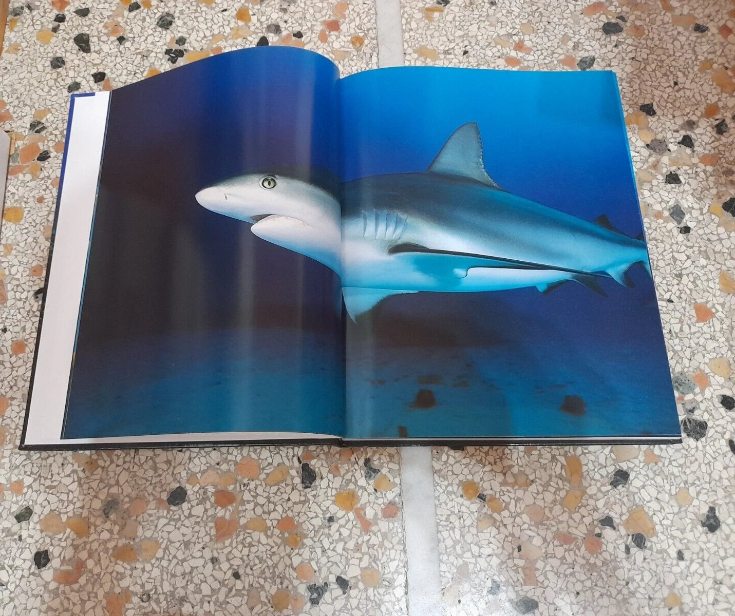 CARAIBI. KURT AMSLER. COLLANA: NATIONAL GOEGRAPHIC. EDIZIONE ILLUSTRATA. EDIZIONI WHITE STAR, 2006.