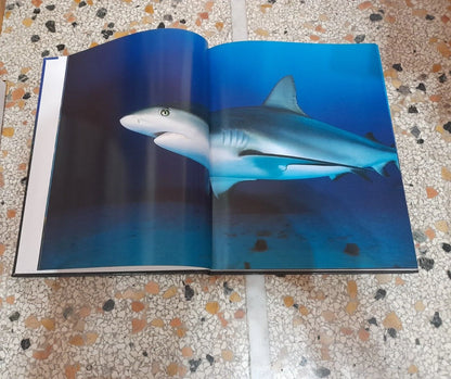CARAIBI. KURT AMSLER. COLLANA: NATIONAL GOEGRAPHIC. EDIZIONE ILLUSTRATA. EDIZIONI WHITE STAR, 2006.