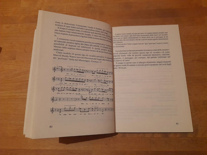 DAL BLUES AL LISCIO. G. STEFANI+AA.VV.  EDIZIONE  A CURA DI G.NICOTRA - G.BERTONI. IANUA EDIZIONI. 1° EDIZIONE 1992.
