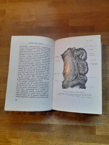 SALUTE "900". LA VITA UMANA S'ALLUNGA?. MARIO MUSELLA. HOEPLI EDITORE. 1° EDIZIONE ILLUSTRATA 1939.