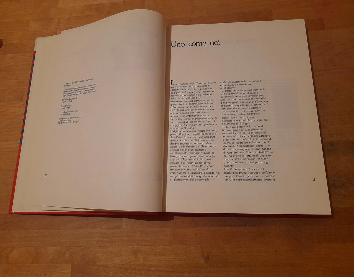 IL NETTUNO SI RACCONTA. FABIO E FILIPPO RAFFAELLI. GF GRAFICA EDITORIALE 1989.