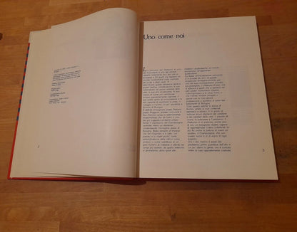 IL NETTUNO SI RACCONTA. FABIO E FILIPPO RAFFAELLI. GF GRAFICA EDITORIALE 1989.