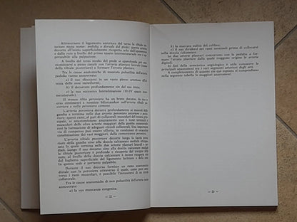 SEMEIOTICA ANGIOLOGICA DEGLI ARTI. LUIGI F. ALLORI. POLIFARMA EDITRICE. RISTAMPA 1981.