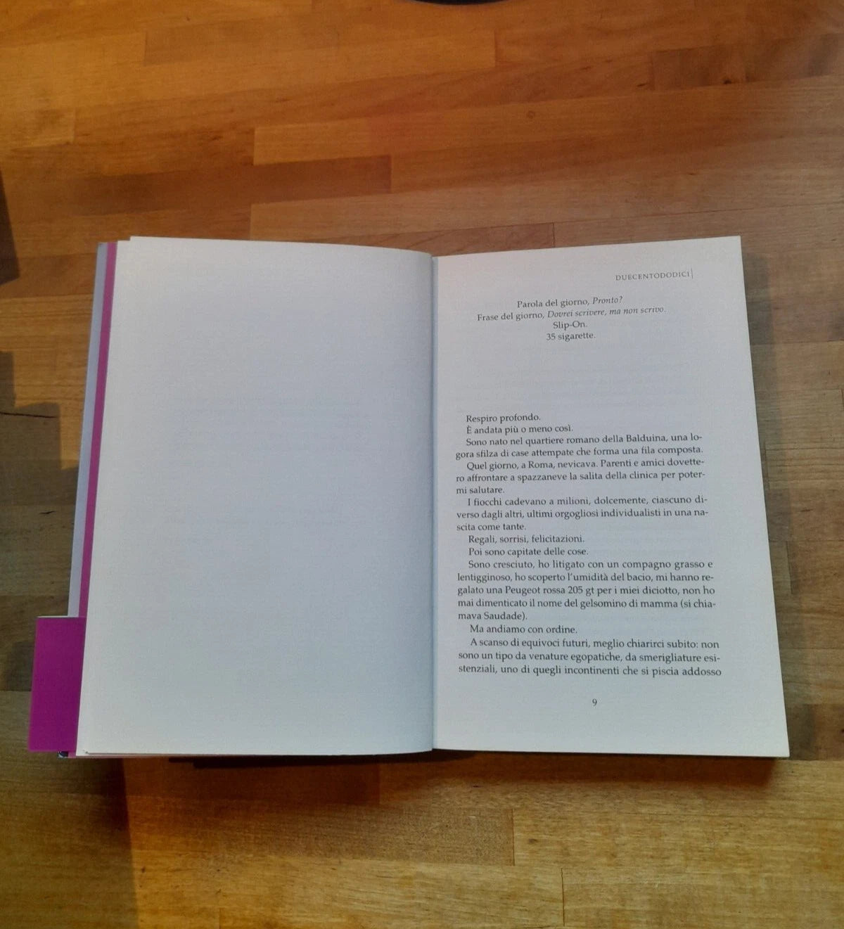 STAVO SOFFRENDO MA MI HAI INTERROTTO. MAURIZIO SBORDONI. EDIZIONI SAN PAOLO. COLLANA: NARRATORI. 2° EDIZIONE 2013.