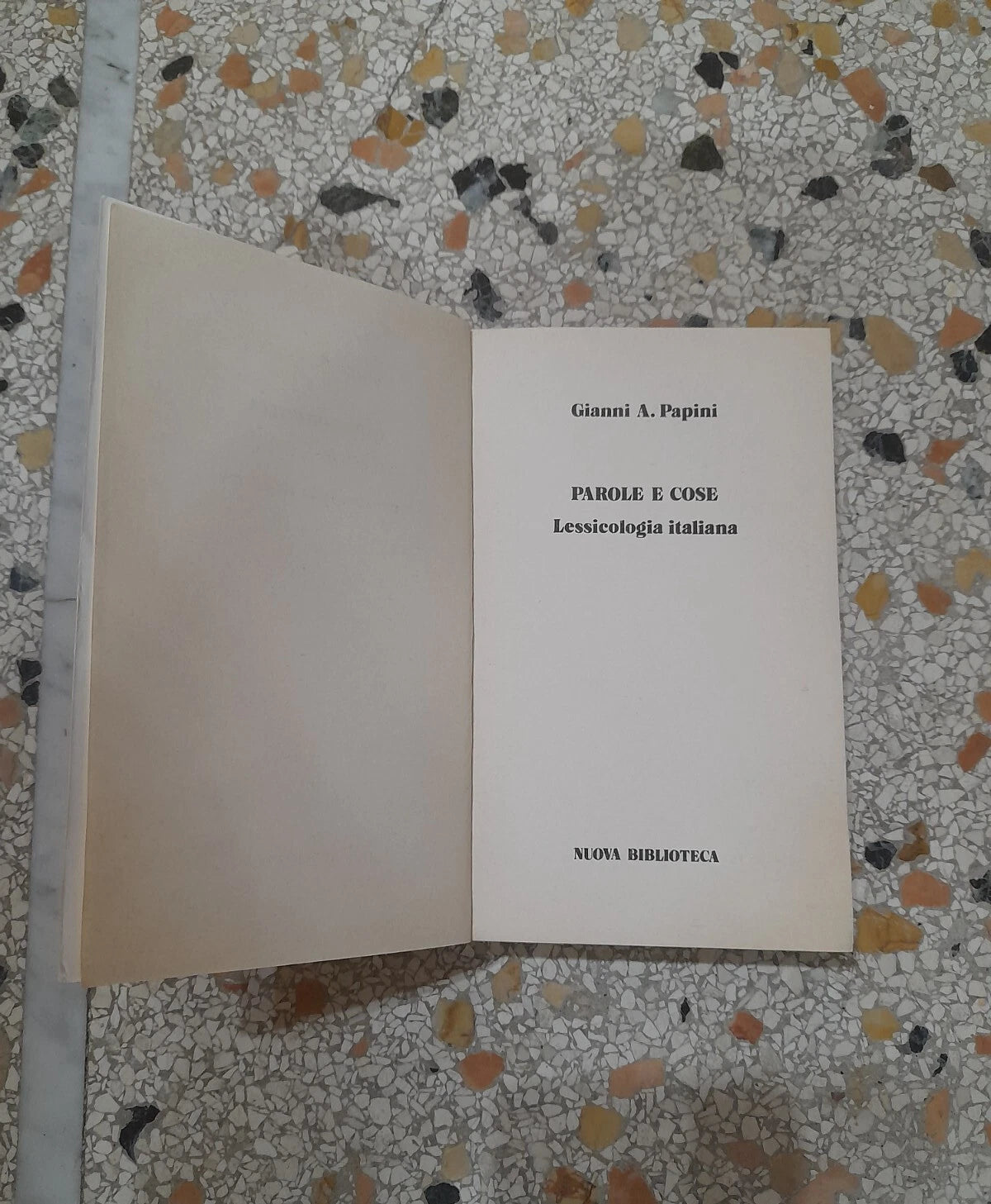 PAROLE E COSE. LESSICOLOGIA ITALIANA. GIANNI A. PAPINI. SANSONI EDITORE. COLLANA: NUOVA BIBLIOTECA. RISTAMPA 1977.