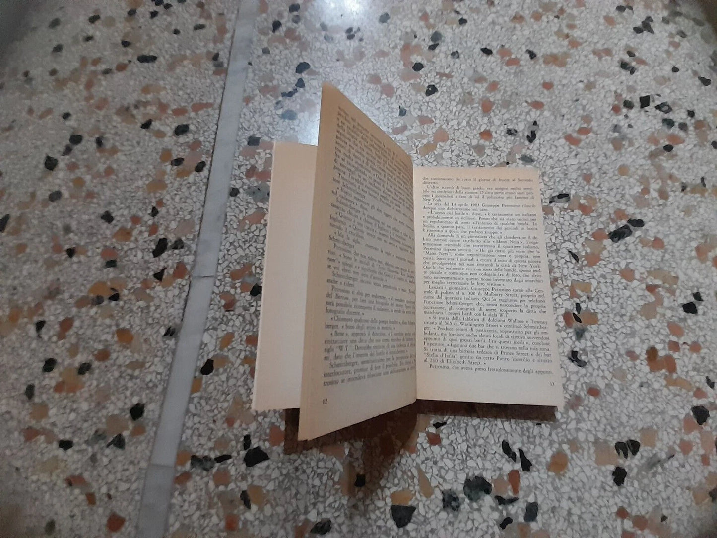 JOE PETROSINO. ARRIGO PETACCO. ISTITUTO GEOGRAFICO DE AGOSTINI, 1983. EDIZIONE FUORI COMMERCIO