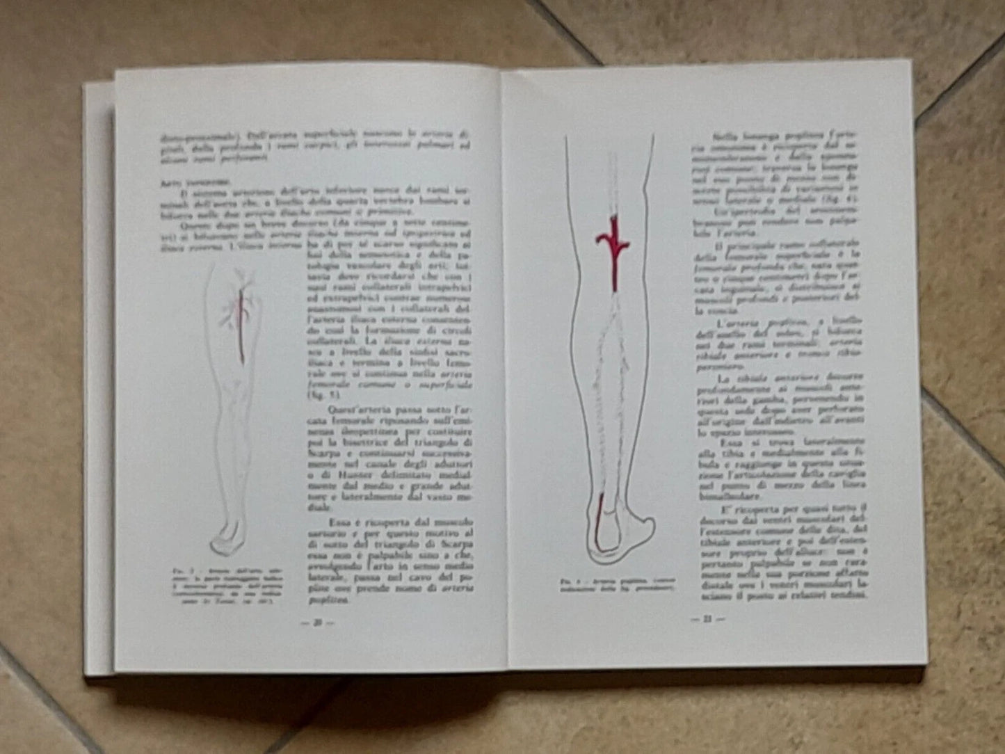 SEMEIOTICA ANGIOLOGICA DEGLI ARTI. LUIGI F. ALLORI. POLIFARMA EDITRICE. RISTAMPA 1981.