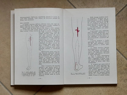 SEMEIOTICA ANGIOLOGICA DEGLI ARTI. LUIGI F. ALLORI. POLIFARMA EDITRICE. RISTAMPA 1981.