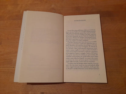 L'IDEALE BERLUSCONIANO. FIORENZO FERLAINO. PALOMAR EDITORE. RISTAMPA 2006.