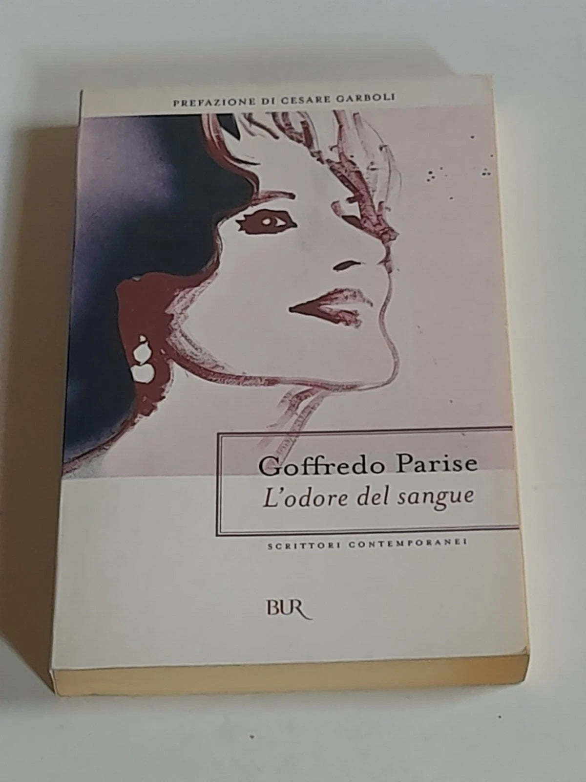 L'ODORE DEL SANGUE. GOFFREDO PARISE. BUR / RIZZOLI EDITORE. COLLANA: BUR SCRITTORI CONTEMPORANEI. 3° EDIZIONE 2004.