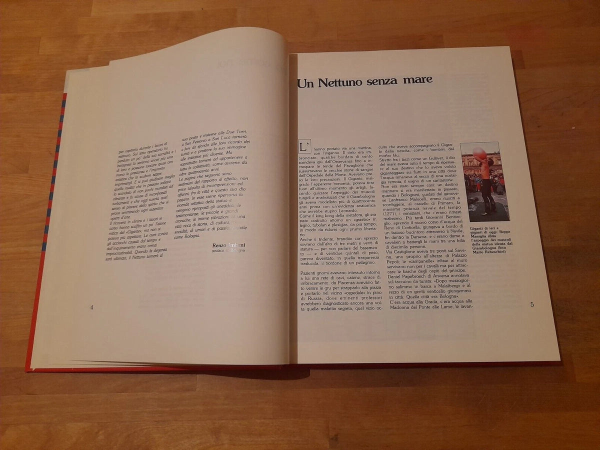 IL NETTUNO SI RACCONTA. FABIO E FILIPPO RAFFAELLI. GF GRAFICA EDITORIALE 1989.