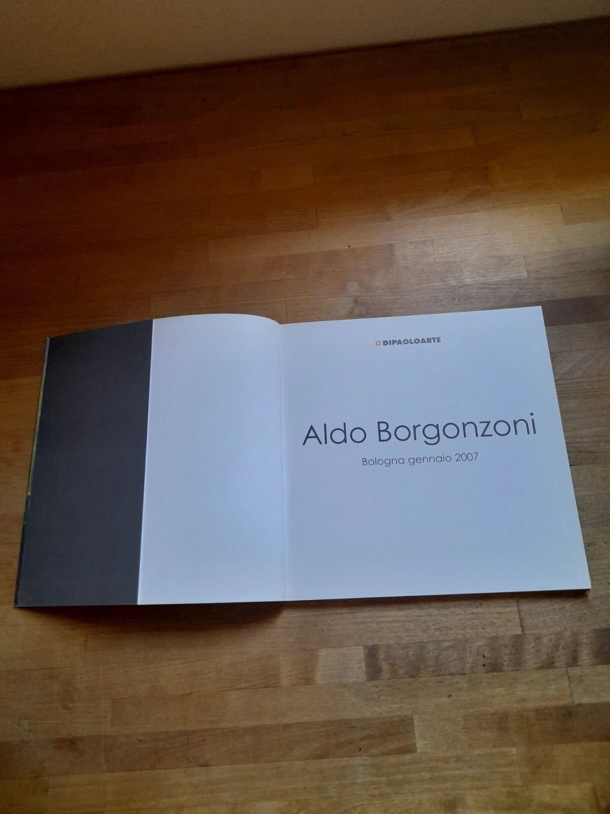 ALDO BORGONZONI. BOLOGNA GENNAIO 2007. DIPAOLOARTE. GALLERIA FALCONE E BORSELLINO. CURATORE: CLAUDIO SPADONI.