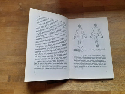 BISESSUALITA' NUOVA FRONTIERA DELL'EROS. GINO OLIVARI. TODARIANA EDITRICE. 2° EDIZIONE 1983. COLLANA: "LUOGHI SAGGISTICI".