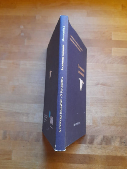 LA MEMORIA CONSUMATA. ANTONIO CAVICCHIA SCALAMONTI - GIANFRANCO PECCHINENDA. IPERMEDIUM EDITORE. 1° RISTAMPA 1997. COLLANA: MEMORABILIA 2.