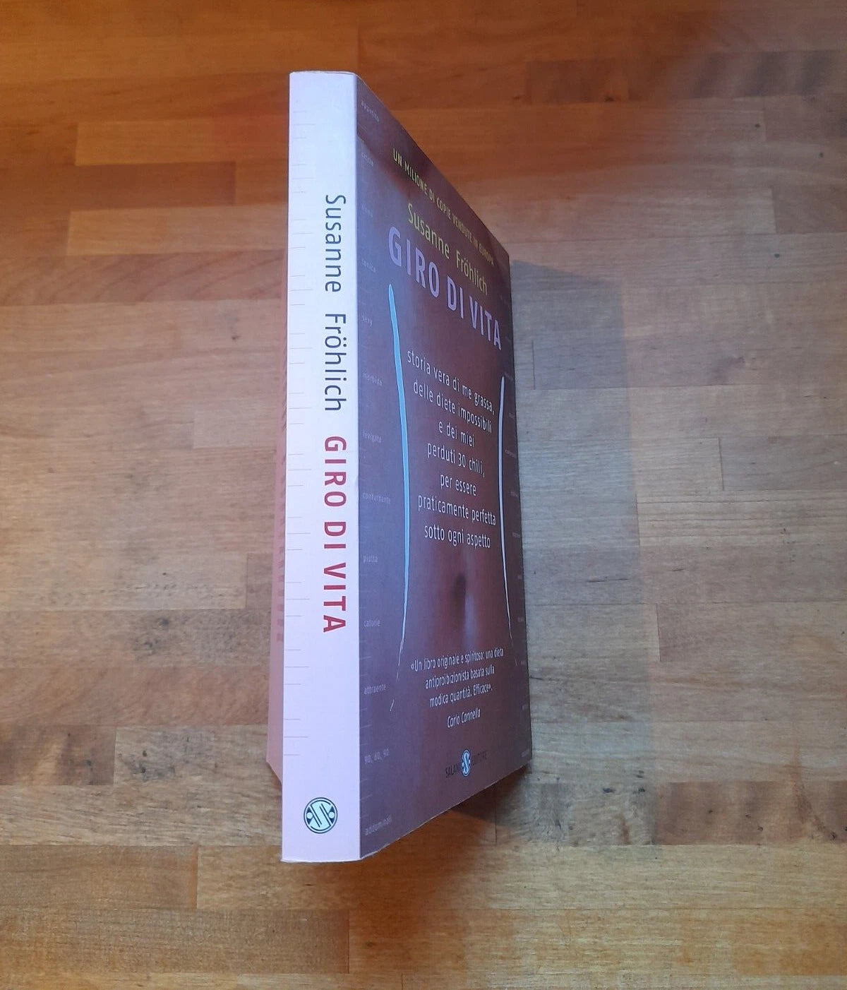 GIRO DI VITA. SUSANNE FROHLICH. SALANI EDITORE. RISTAMPA 2005.