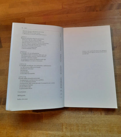 SEPARAZIONI E NUOVE FAMIGLIE. L'EDUCAZIONE DEI FIGLI. VANNA IORI. RAFFAELLO CORTINA EDITORE. 1° EDIZIONE 2006. COLLANA: PEDAGOGIE DELLO SVILUPPO.