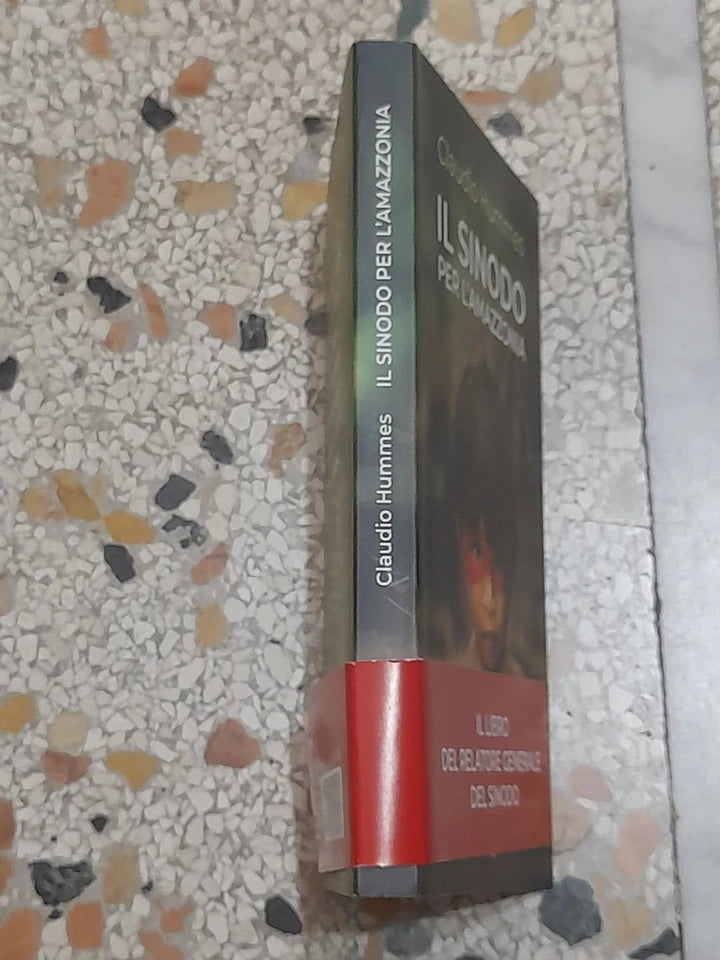 IL SINODO PER L'AMAZZONIA. CARDINALE CLAUDIO HUMMES. EDIZIONI SAN PAOLO 2019.