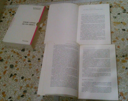 ANTICHE CAPITALI DEL SUD AMERICA. FRANCESCO LUCARELLI ELVIRA - PETRONCELLI. GUIDA EDITORI. COLLANA: GUIDA RICERCA ARCHITETTURA E URBANISTICA. 1° EDIZIONE 1987.